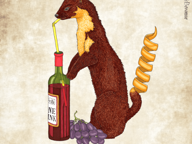 Wine Marten