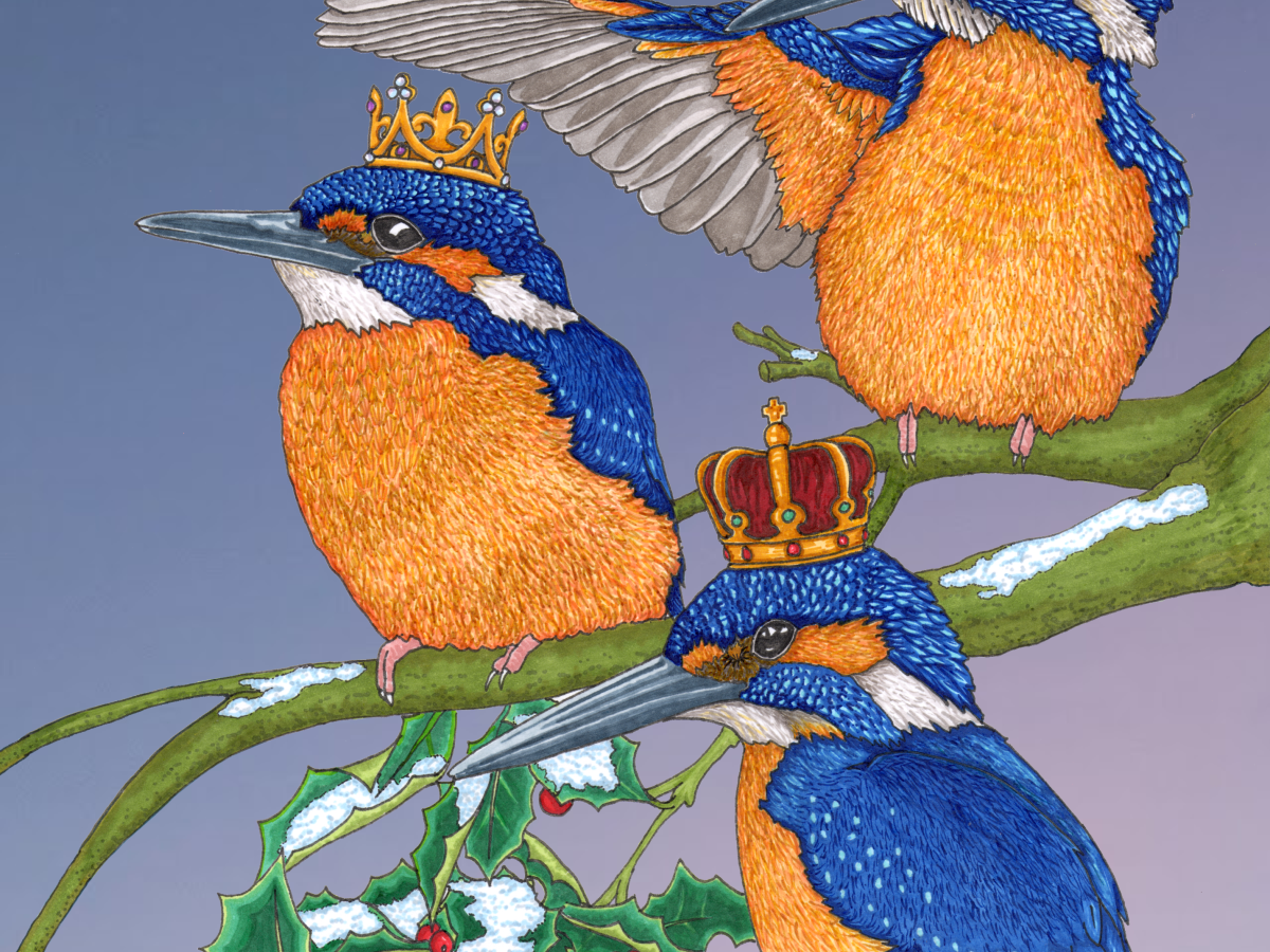 We Three Kingfishers